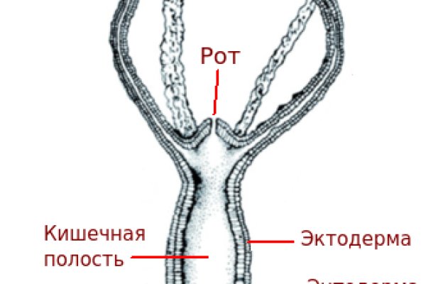 Кракен маркетплейс тор